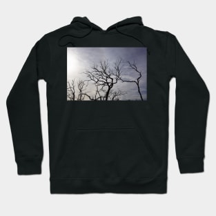 Dead black limbed Gum trees. Hoodie